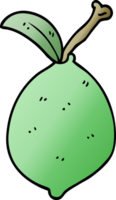 tecknad doodle lime frukt png