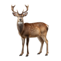 AI generated Deer clip art png