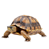 ai gegenereerd schildpad klem kunst png