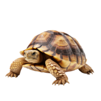 AI generated Turtle clip art png