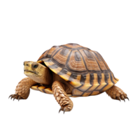 AI generated Turtle clip art png