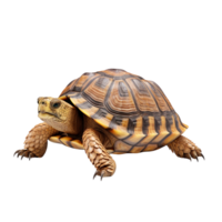 ai gegenereerd schildpad klem kunst png