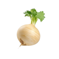 AI generated Turnip clip art png