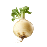 AI generated Turnip clip art png