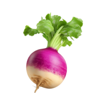 AI generated Turnip clip art png