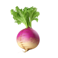 AI generated Turnip clip art png