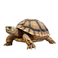 ai gegenereerd schildpad klem kunst png