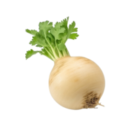 AI generated Turnip clip art png