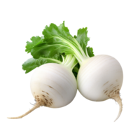 AI generated Turnip clip art png