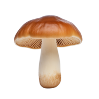 AI generated Mushroom clip art png