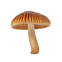 AI generated Mushroom clip art png