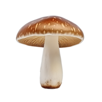 ai généré champignon agrafe art png