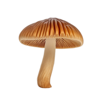 AI generated Mushroom clip art png