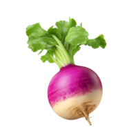 AI generated Turnip clip art png