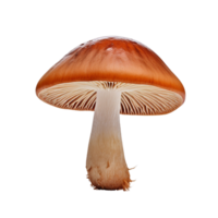 AI generated Mushroom clip art png