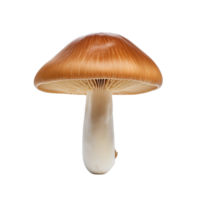 AI generated Mushroom clip art png