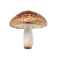 AI generated Mushroom clip art png