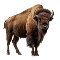 ai généré bison agrafe art png