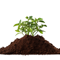 AI generated Young plant and pile of fertile soil clip art png