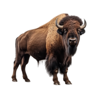 AI generated Bison clip art png