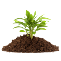 AI generated Young plant and pile of fertile soil clip art png