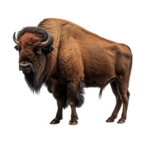 ai généré bison agrafe art png