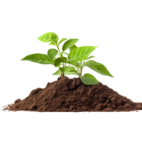 AI generated Young plant and pile of fertile soil clip art png