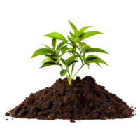 AI generated Young plant and pile of fertile soil clip art png