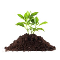 AI generated Young plant and pile of fertile soil clip art png