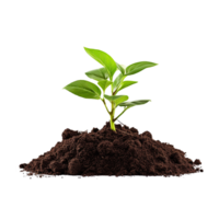 AI generated Young plant and pile of fertile soil clip art png