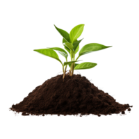 AI generated Young plant and pile of fertile soil clip art png