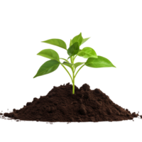 AI generated Young plant and pile of fertile soil clip art png