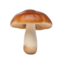 ai généré champignon agrafe art png