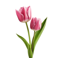 ai généré tulipe agrafe art png