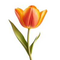 AI generated Tulip clip art png