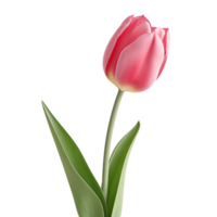 ai gerado tulipa grampo arte png