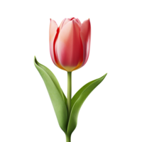 AI generated Tulip clip art png