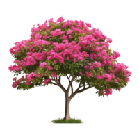 ai généré tropical plante fleur buisson agrafe art png