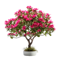 ai généré tropical plante fleur buisson agrafe art png