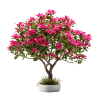 ai généré tropical plante fleur buisson agrafe art png