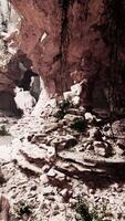 A stunning narrow canyon with lush vegetation and unique rock formations video