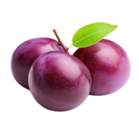 AI generated Plum clip art png