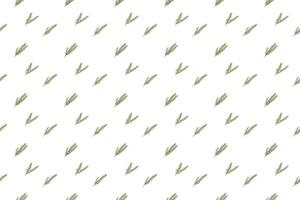 rosemary leaf arrange as seamless pattern background vector