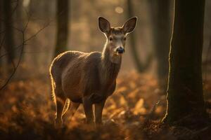 ai generado elegante ciervo en crepúsculo bosque. creado con generativo ai foto