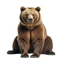 AI generated Bear clip art png