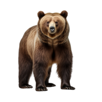 AI generated Bear clip art png