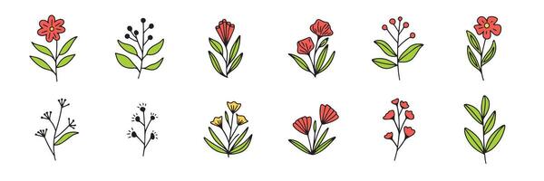 Collection of hand drawn flowers colored outline. Set of flower in doodle style. Hand drawn vector art.