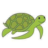 hand drawn tortoise colored outline. Set of turtle in doodle style. Hand drawn vector art.