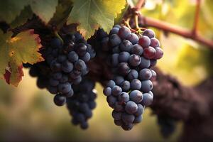 ai generado antiguo vino con rojo vino uvas. creado con generativo ai foto