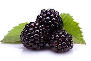 AI generated Juicy Blackberry on White Background Perfect for Healthy Snacks and Delicious Recipes. created with Generative AI photo